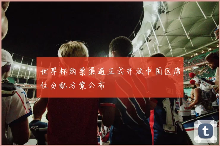 世界杯购票渠道正式开放中国区席位分配方案公布